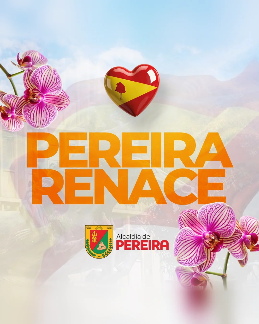 Imagen principal de Pereira